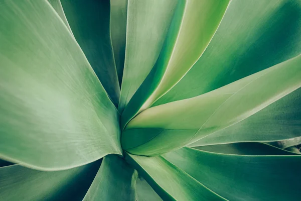 Adobestock 571373412